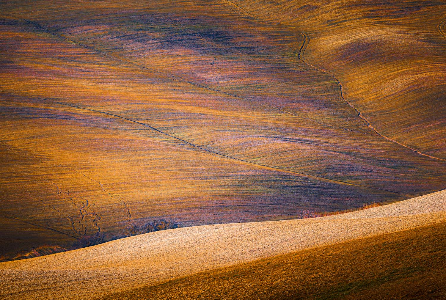 Exhibitor of Art Fair Zurich 2020