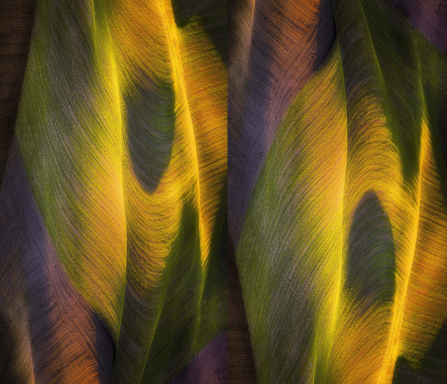 Image by Marek Boguszak