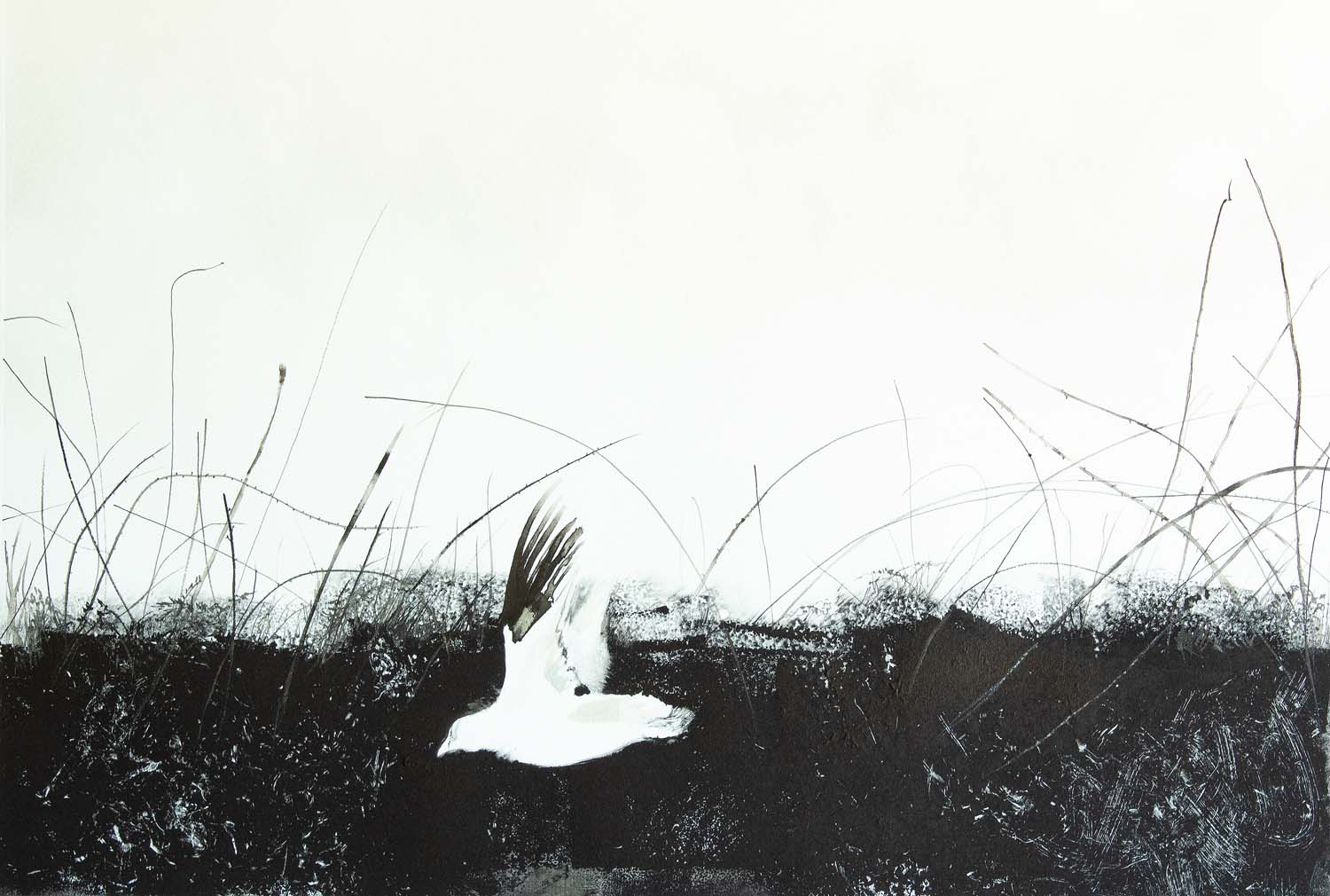 Exhibitor of Art Fair Zurich 2020