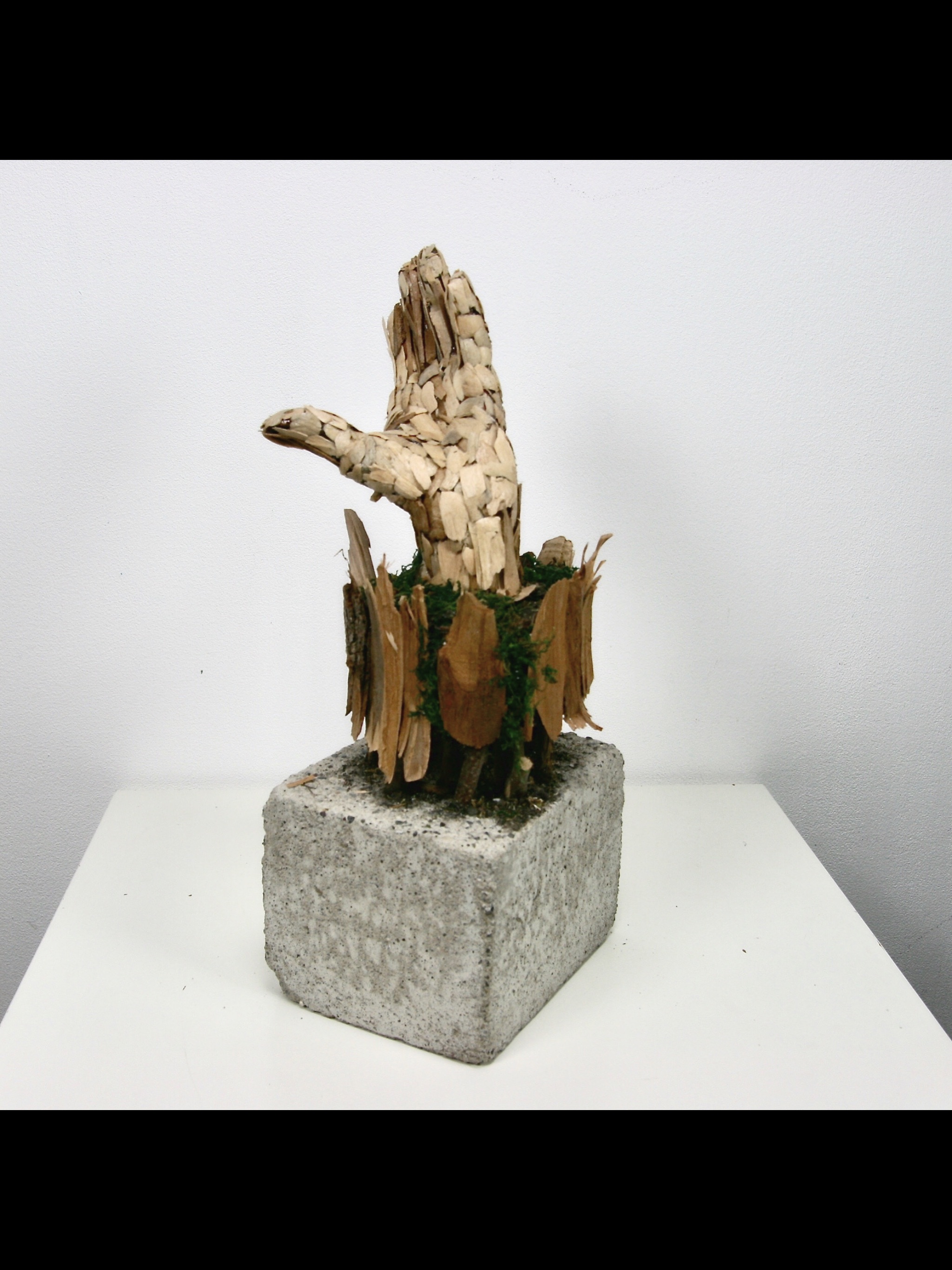 Image by René Amstalden