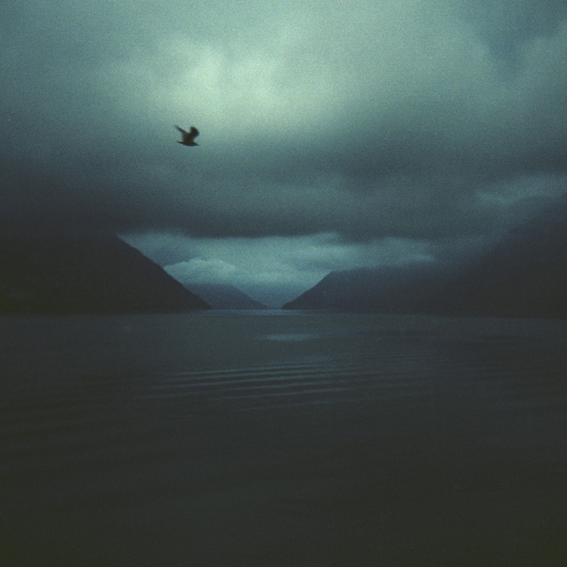 Artwork by Lorita Preiano