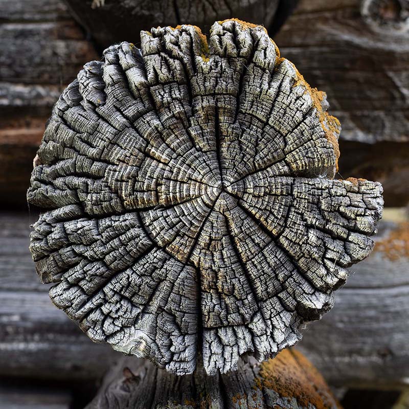 Artwork by Andreas Urscheler