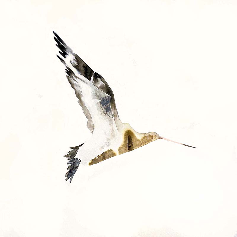 Artwork by Eilbhe Donovan