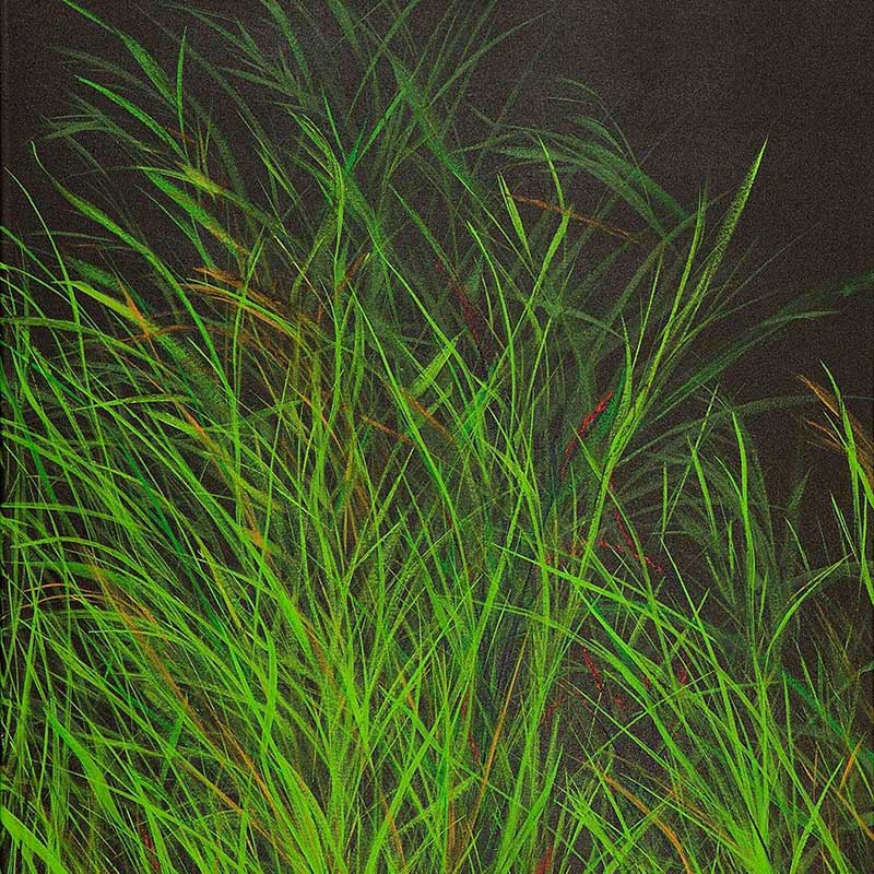 Artwork by Sandy Iseli