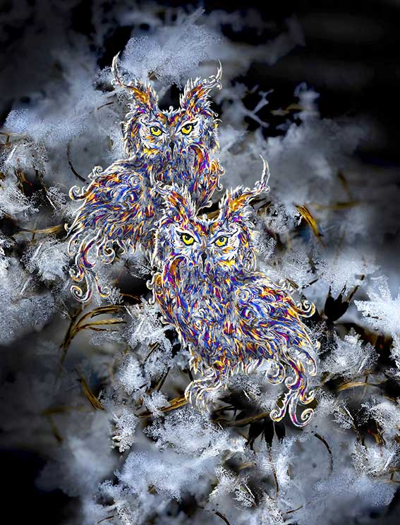 Petra Lehmann: Crystal Geminos / Bleistiftzeichnung, Fotografie, digital bearbeitet, Druck auf Stoff, LED-Rahmen, 60 x 80 5 cm, 2023 Image: Petra Lehmann