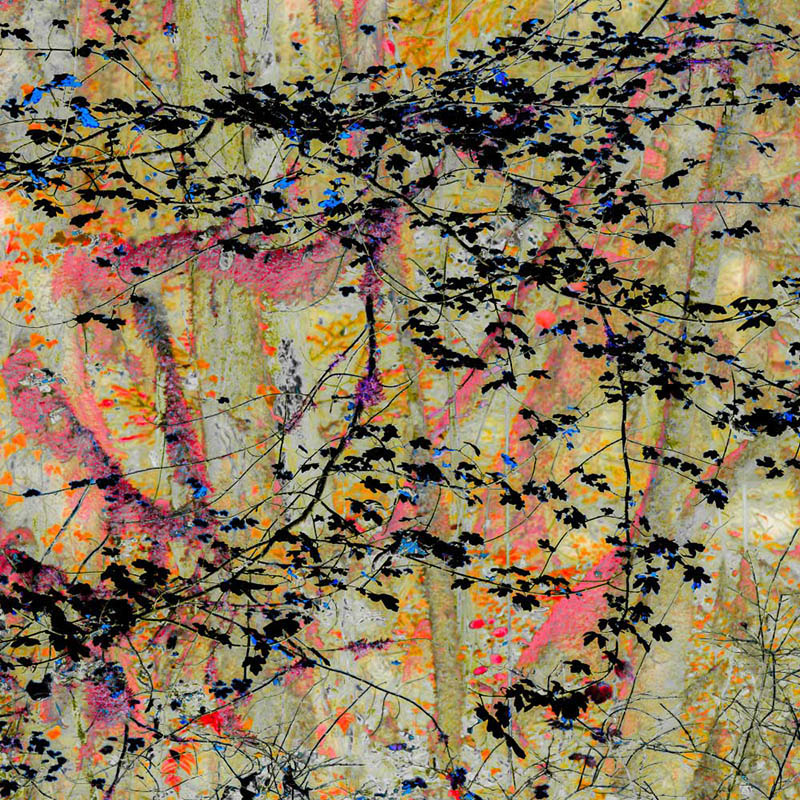 Image detail: Courtesy of galeriesechs.ch