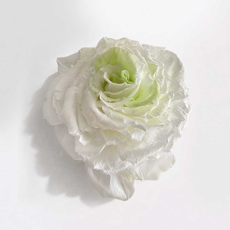 Artwork by Giovanna Molinari-Casile