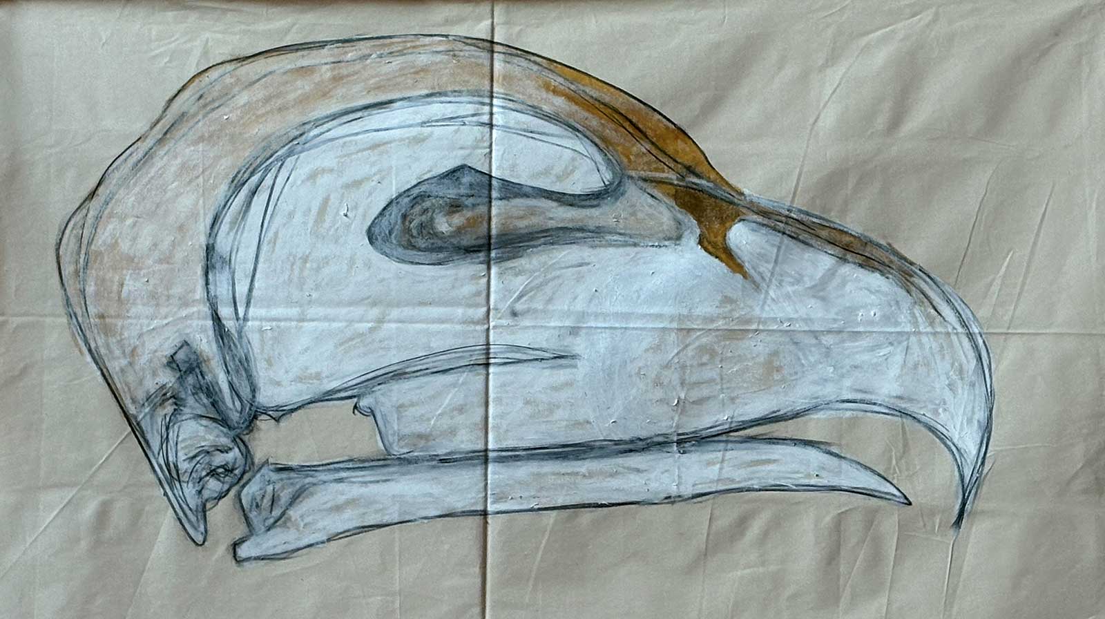 Sandra Rossi: Golden Eagle from the 'Wild and Delicate' Bird Series / Charcoal drawing on unprimed canvas, 100x160cm, 2026 Image: Sandra Rossi