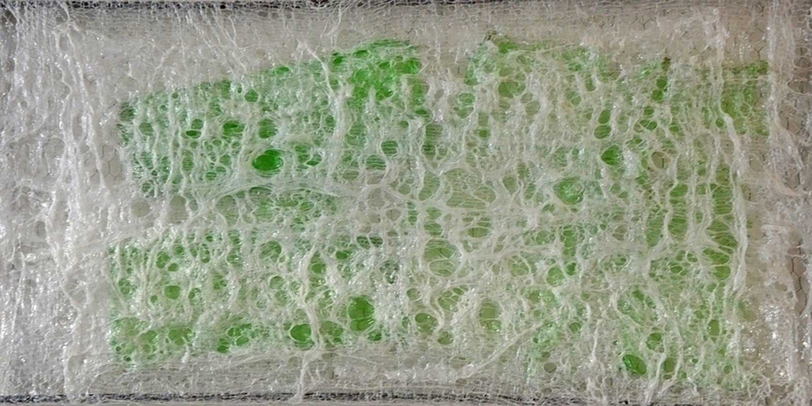 Marlise Rüegg: The sound of the sea / Jelly mixed media, 100x50cm, 2029 Image: Marlise Rüegg